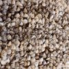 שטיח לולאות 8895